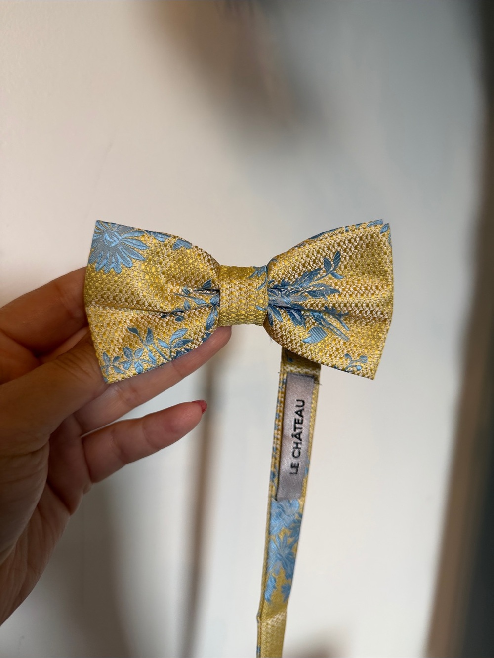 le chateau Yellow and Blue Floral Bow Tie